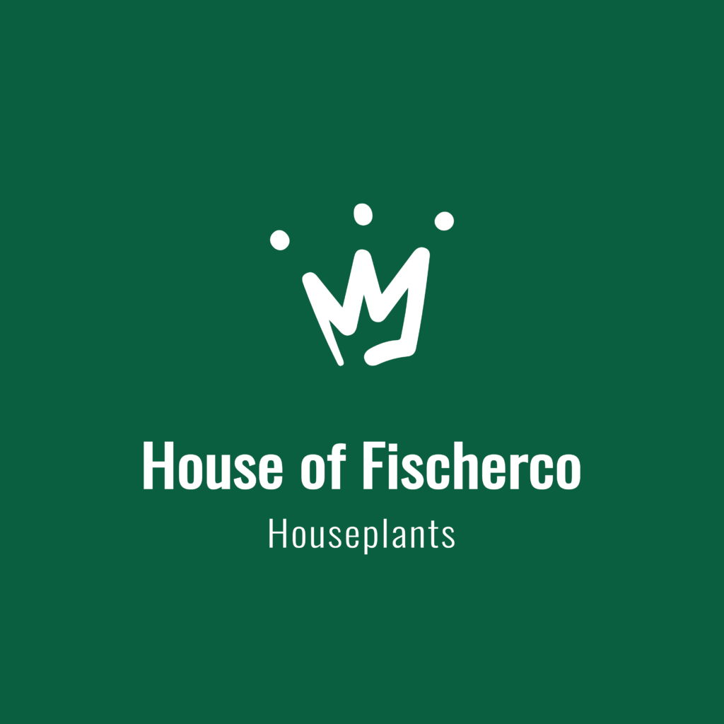 House of Fischerco
