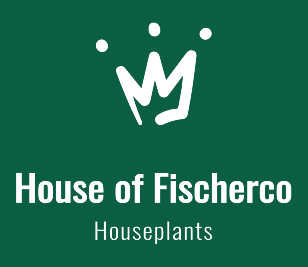 House of Fischerco