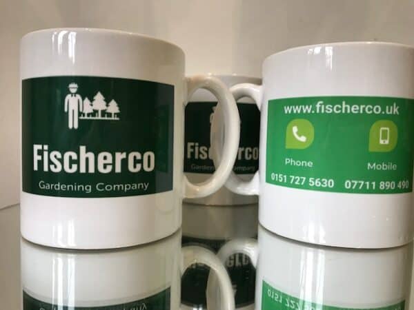 Fischerco Mug